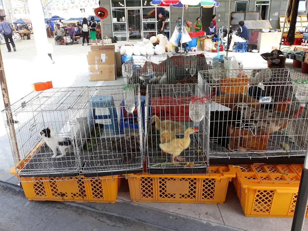 완도남양시장(구 완도종합시장) 사진 2