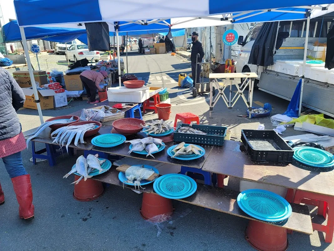 진도상설전통시장 사진 4