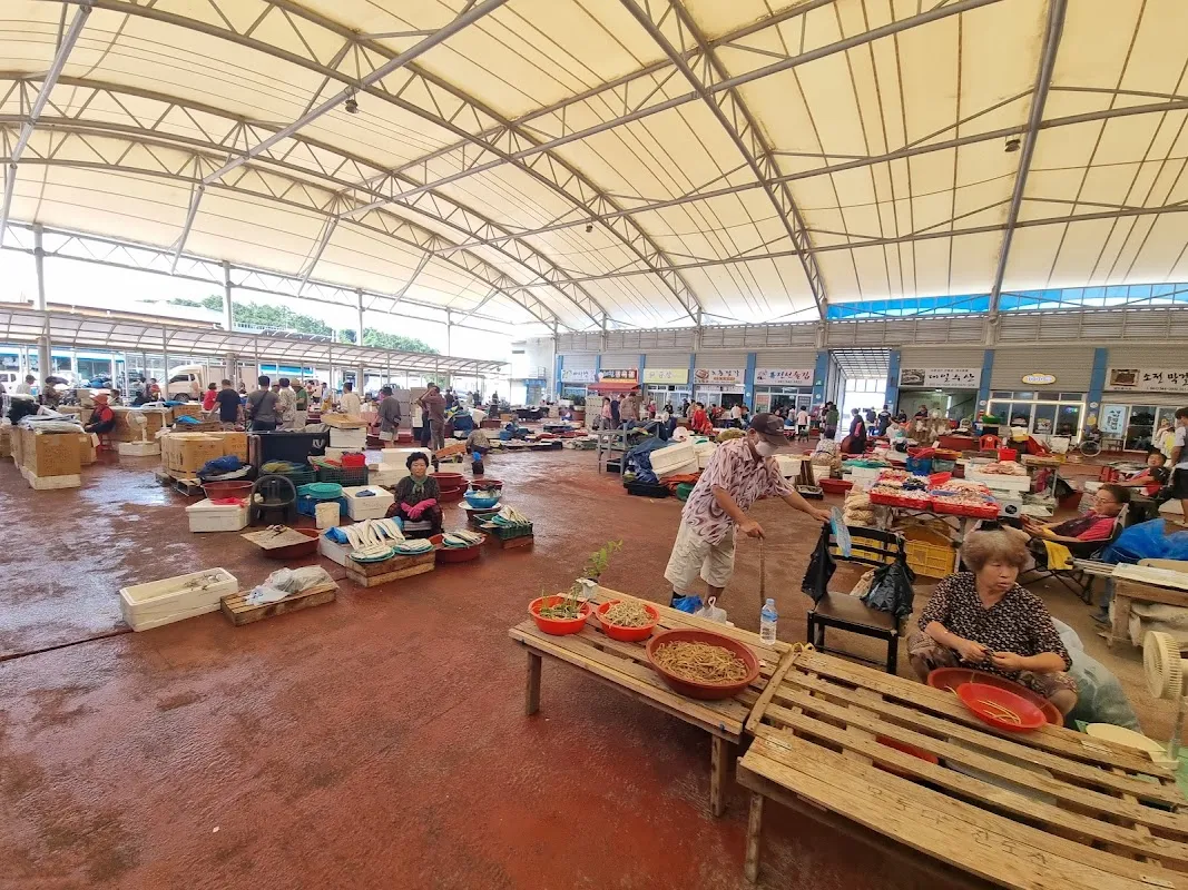 진도상설전통시장 사진 5