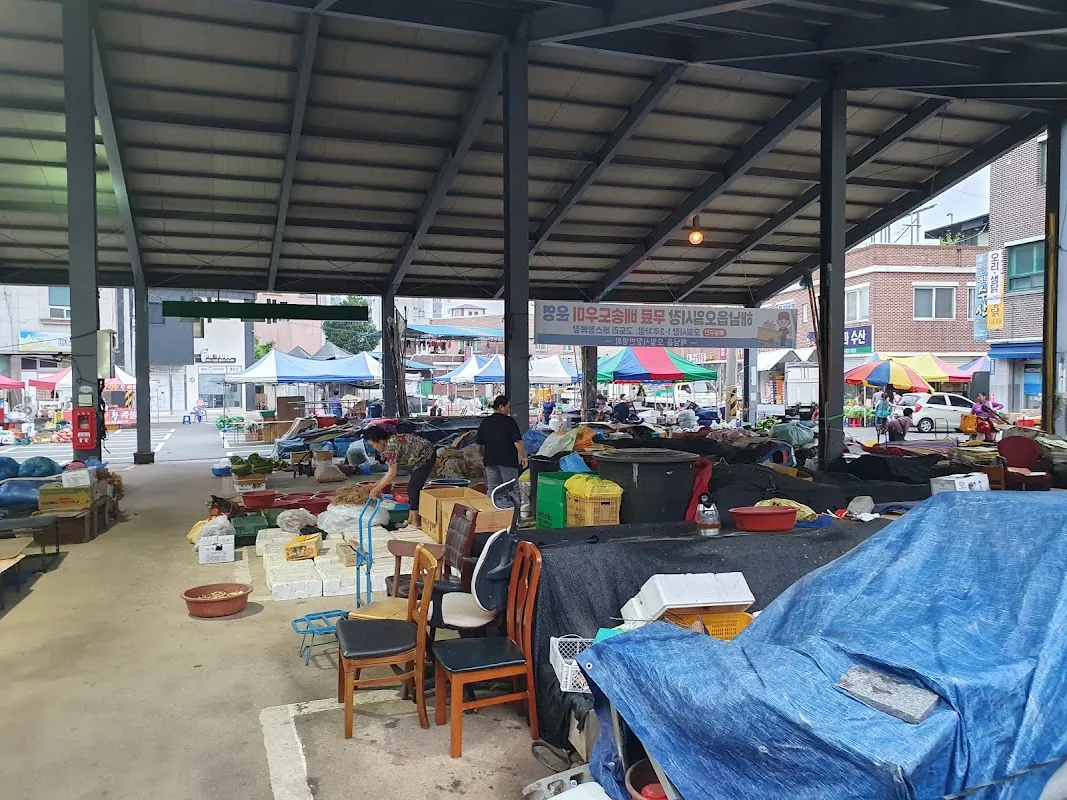 해남읍5일시장 사진 5