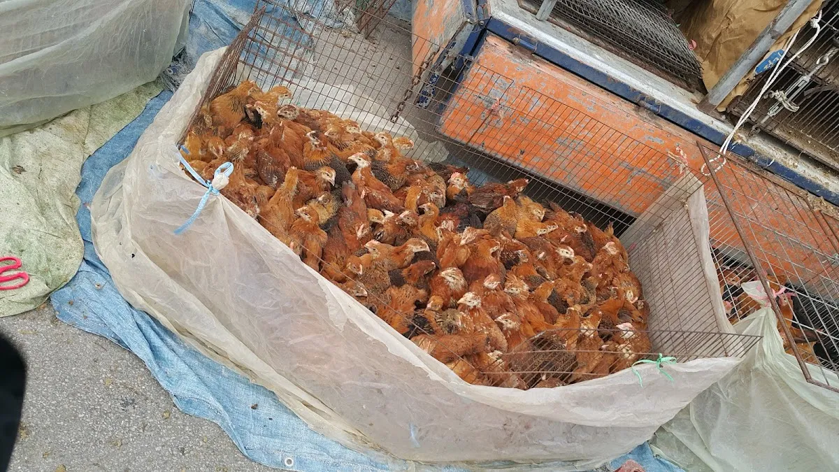 해리전통시장 사진 3