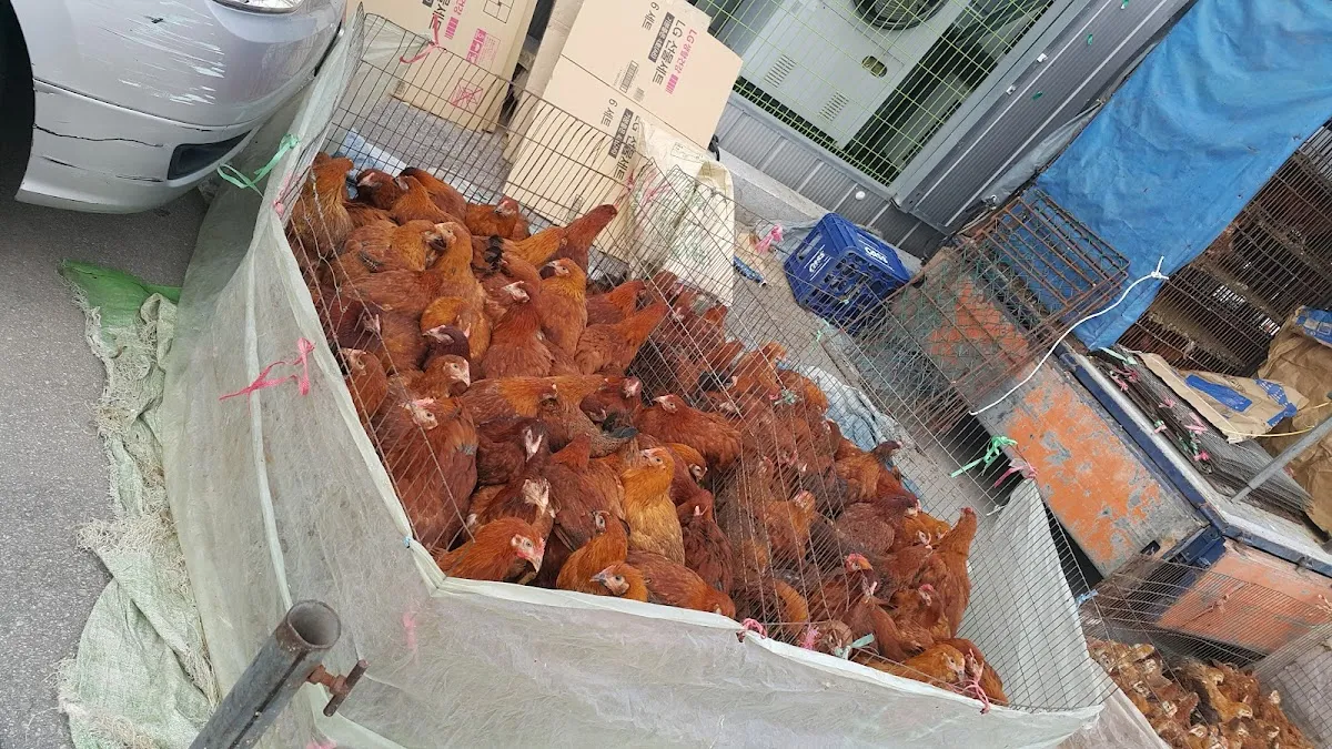 해리전통시장 사진 4