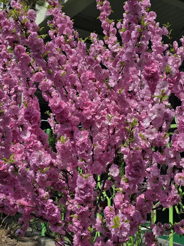 전주신중앙시장(신중앙시장) 사진 4