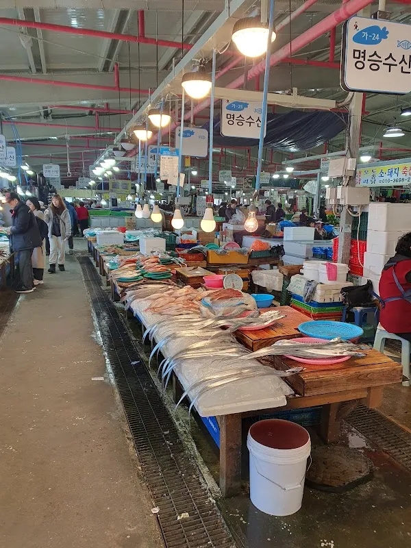 고성오일시장 사진 5