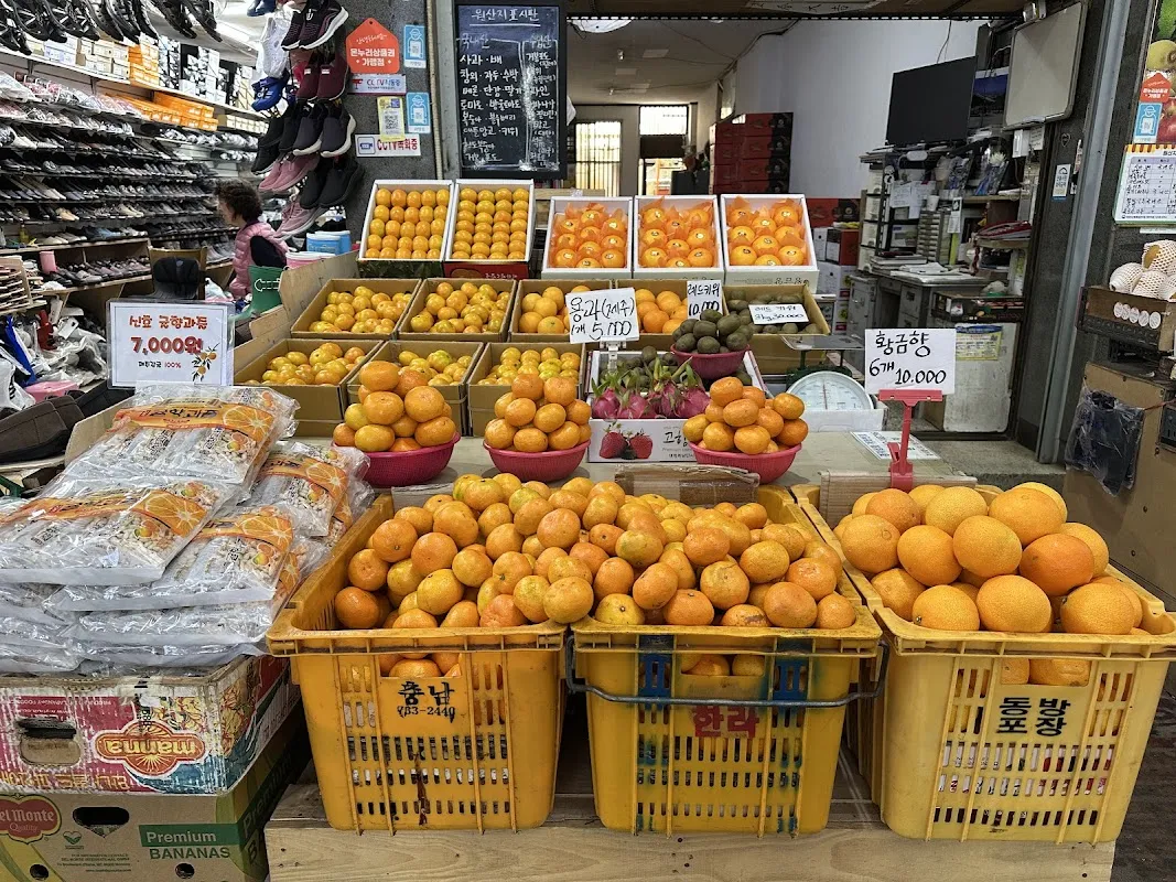 서귀포매일올레시장 사진 4