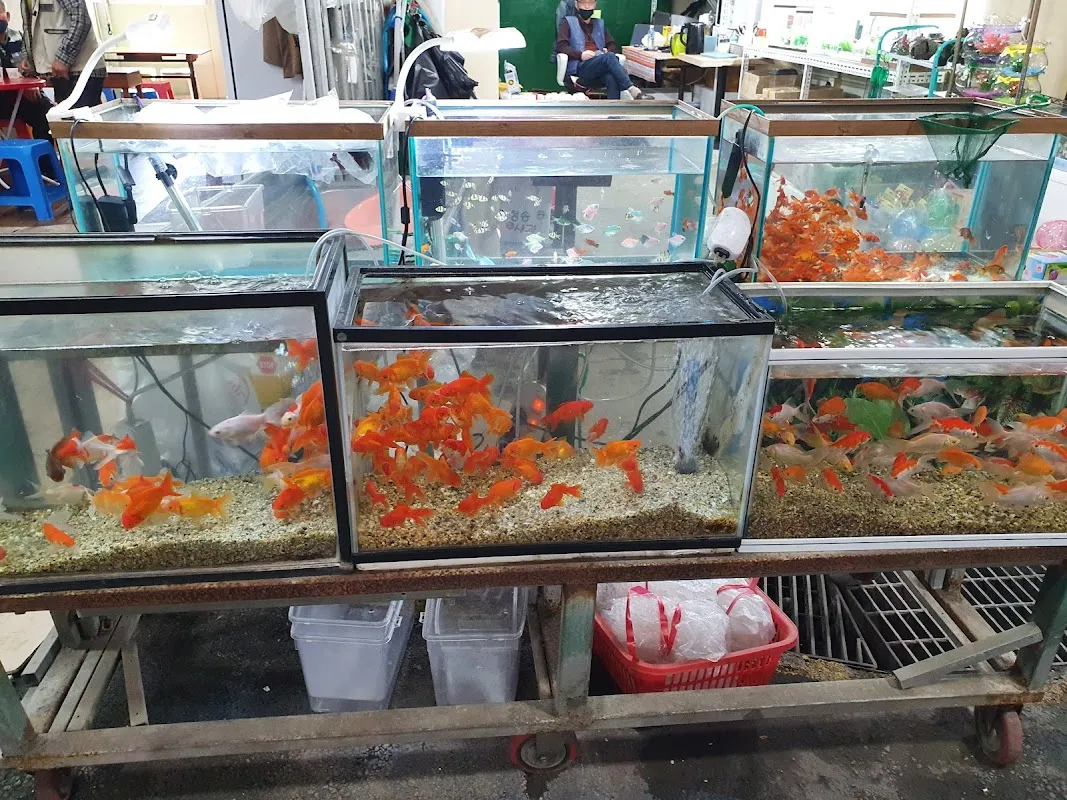 서귀포향토오일시장 사진 4