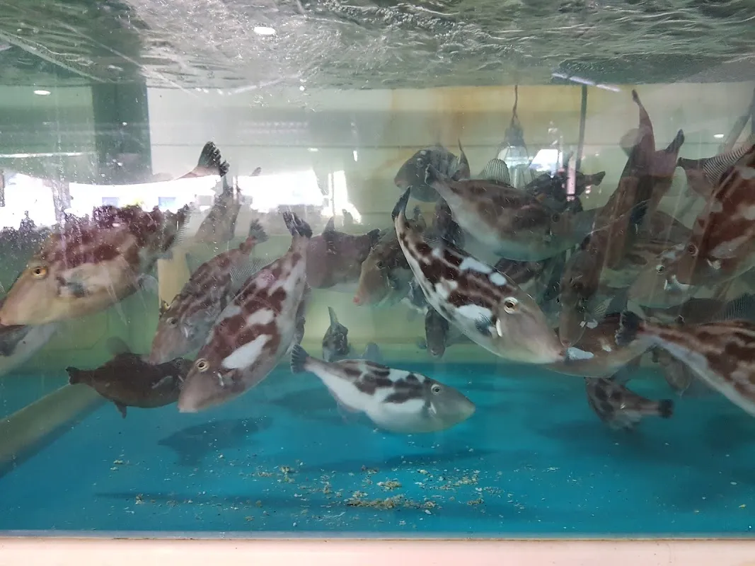 중문오일시장 사진 3