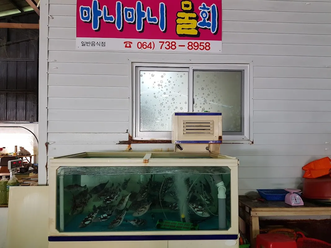 중문오일시장 사진 5