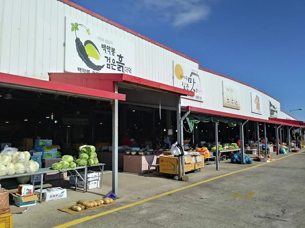 표선오일시장 사진 3