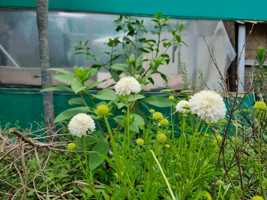 표선오일시장 사진 4