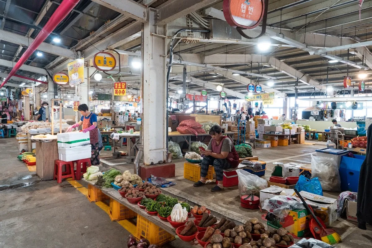 세화오일시장 사진 5