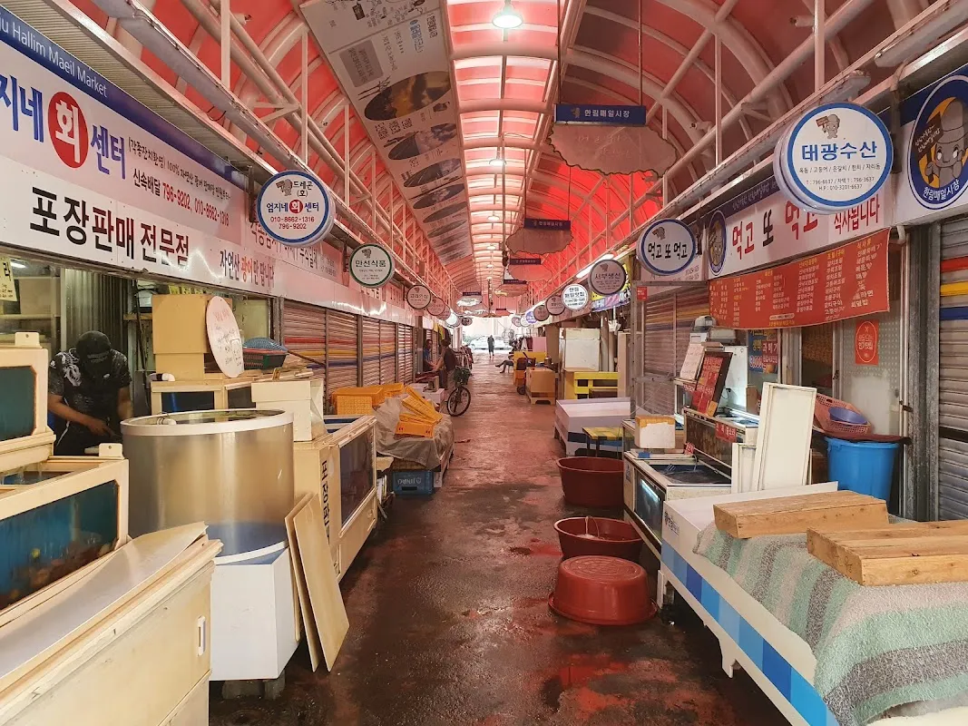 한림매일시장 사진 5