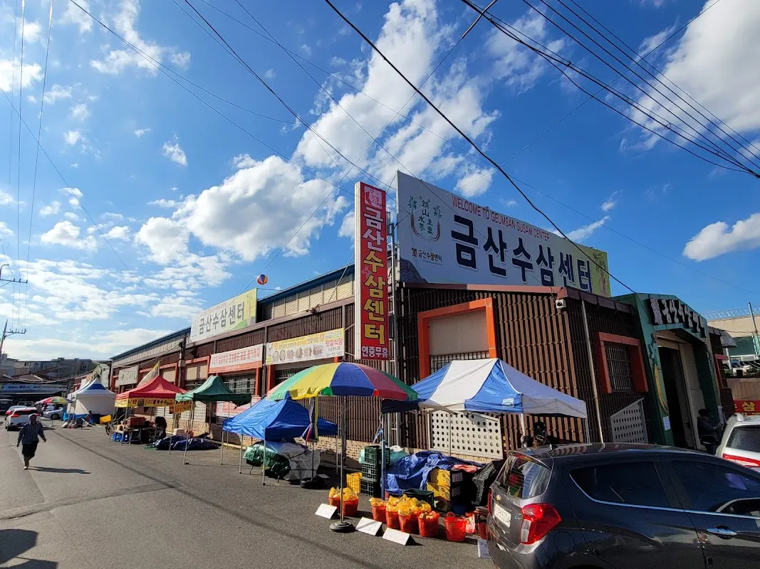 금산수삼센타 전경