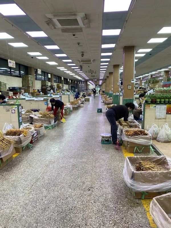 금산수삼센타 사진 2