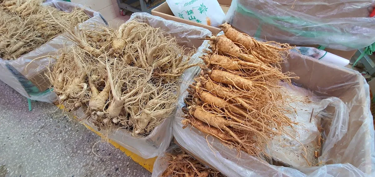 금산약초시장 사진 4