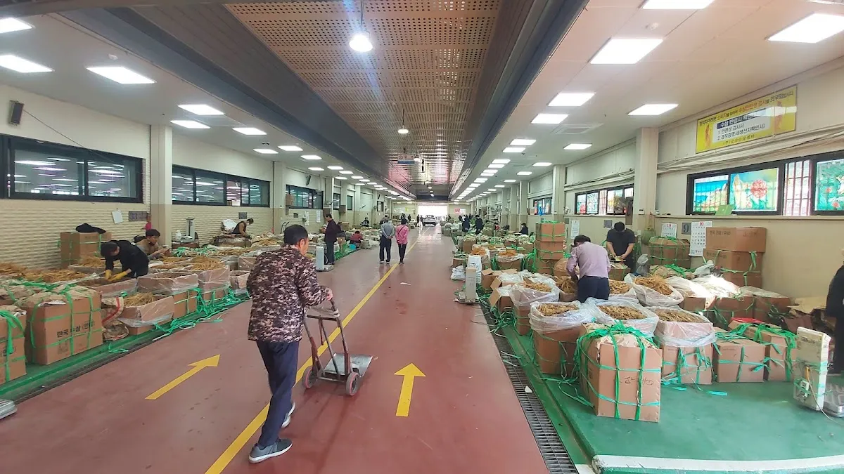 금산약초시장 사진 5