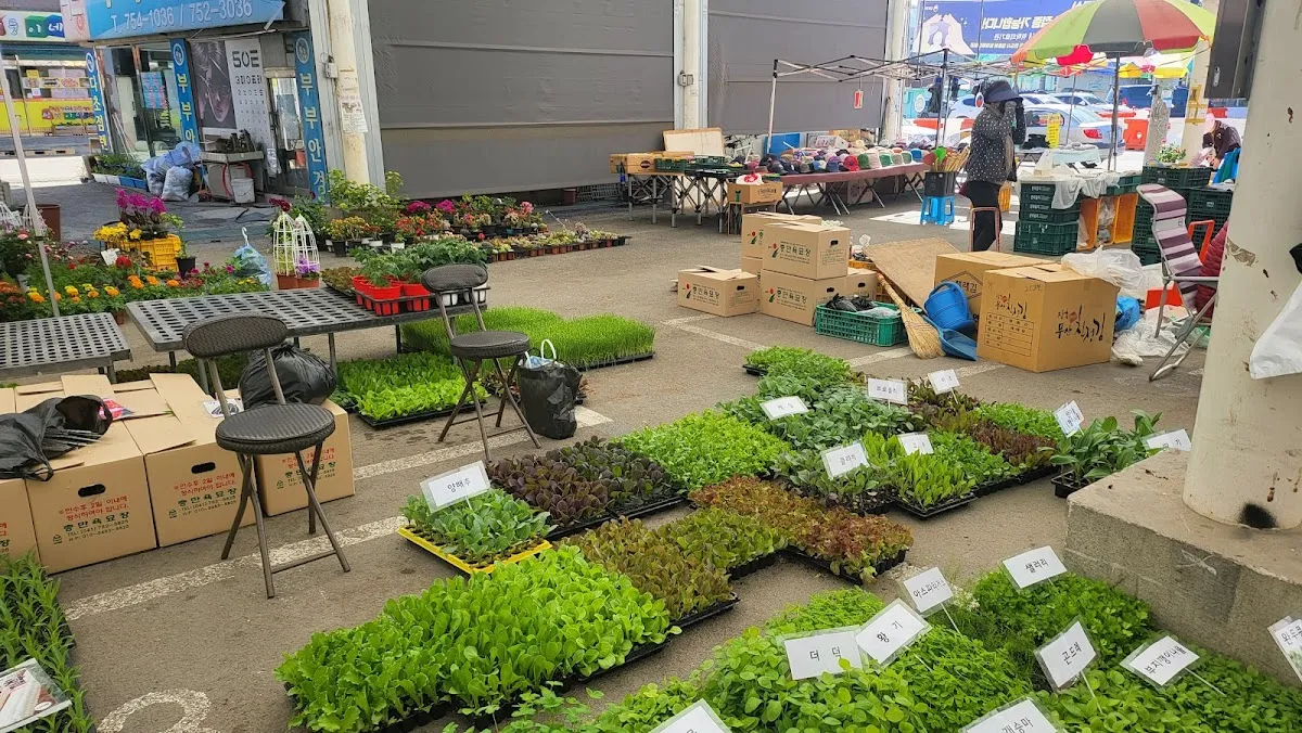 마전시장 사진 2