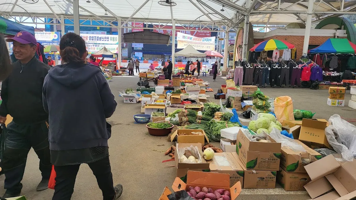 마전시장 사진 4