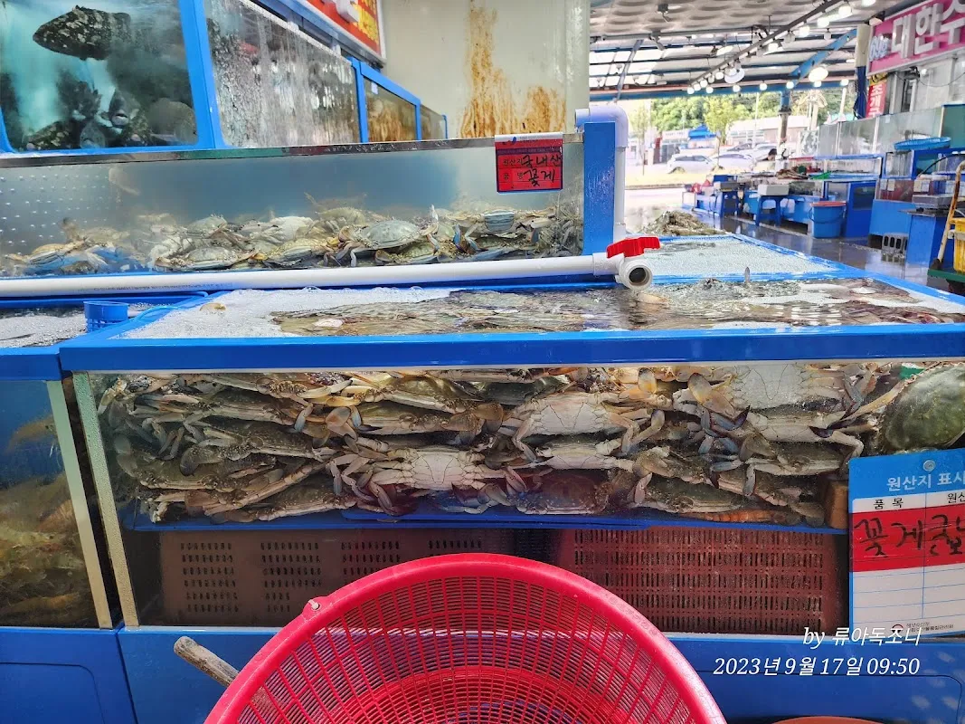 대천항종합수산물시장 사진 3