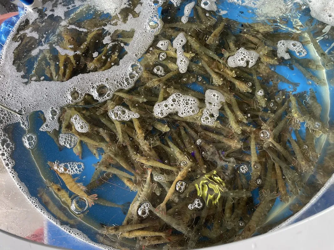 태안동부시장(태안특산물전통시장) 사진 4