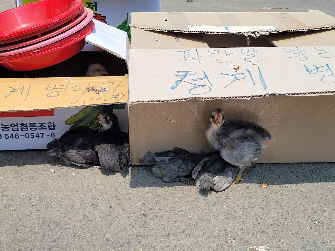 갈산전통시장 사진 3