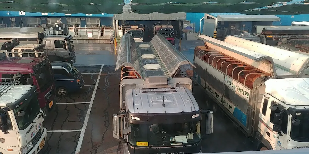 음성시장 사진 2