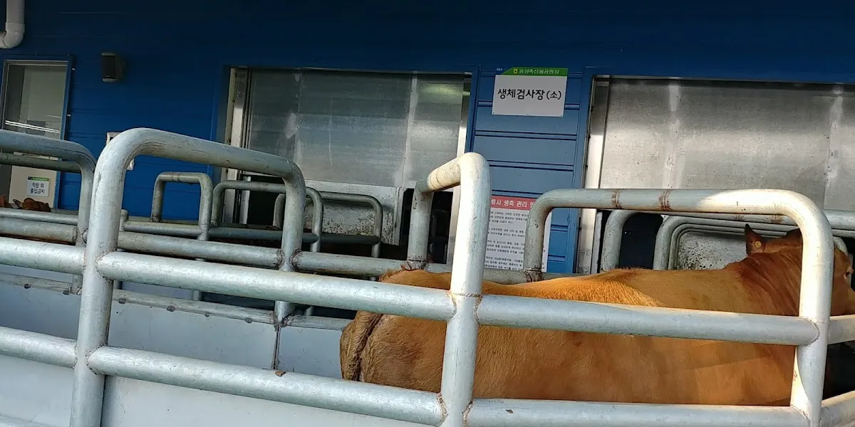 음성시장 사진 3