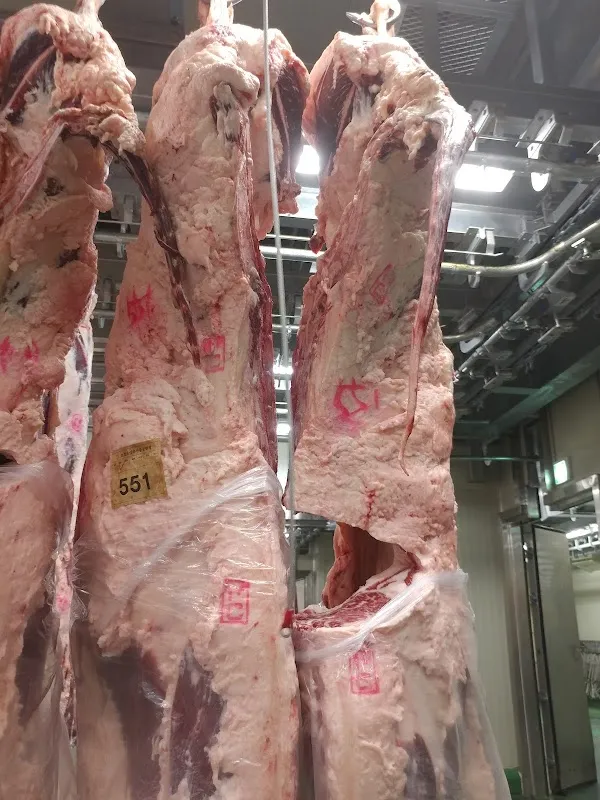 음성시장 사진 5