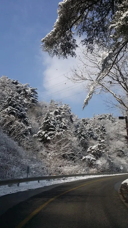 박달재전통시장 사진 5