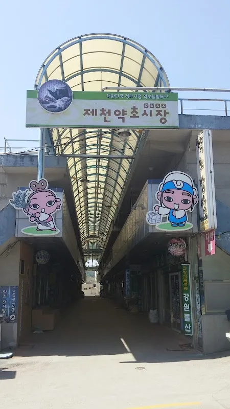 제천약초시장 전경