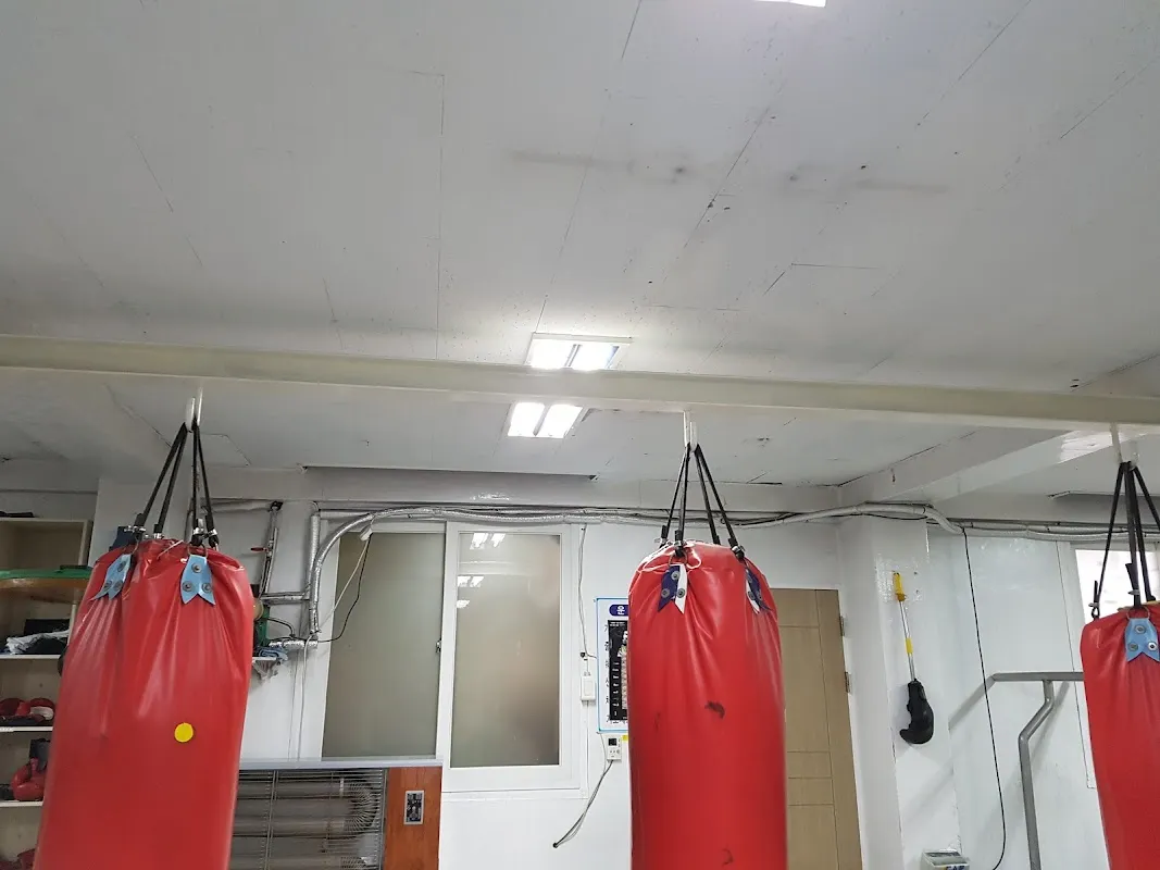 직지시장 사진 3